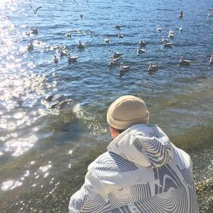 欧美美野花视频
