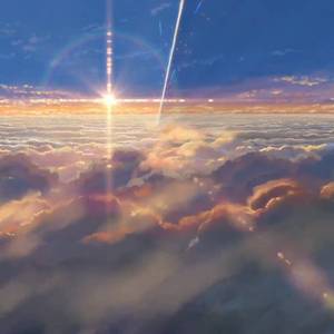 欧美美野花视频
