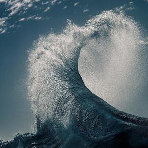 欧美美野花视频
